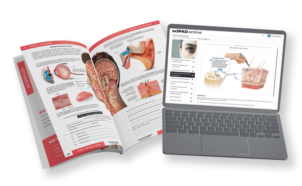 sciPAD Online lesson example